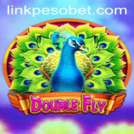 Dive into the Exciting World of DoubleFly and PesoBet